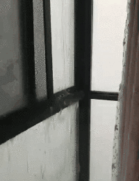 微信圖片_20200523153410.gif